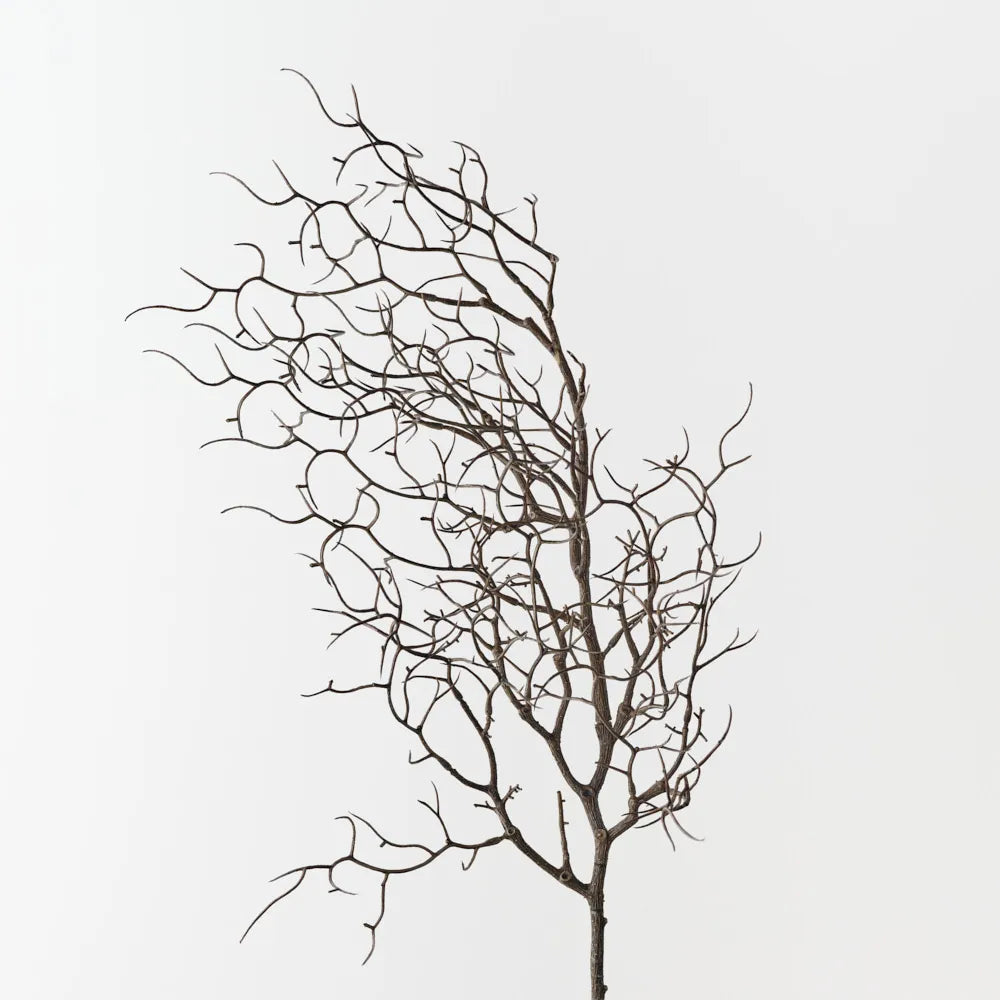 Floral Interiors Twig Curly spray