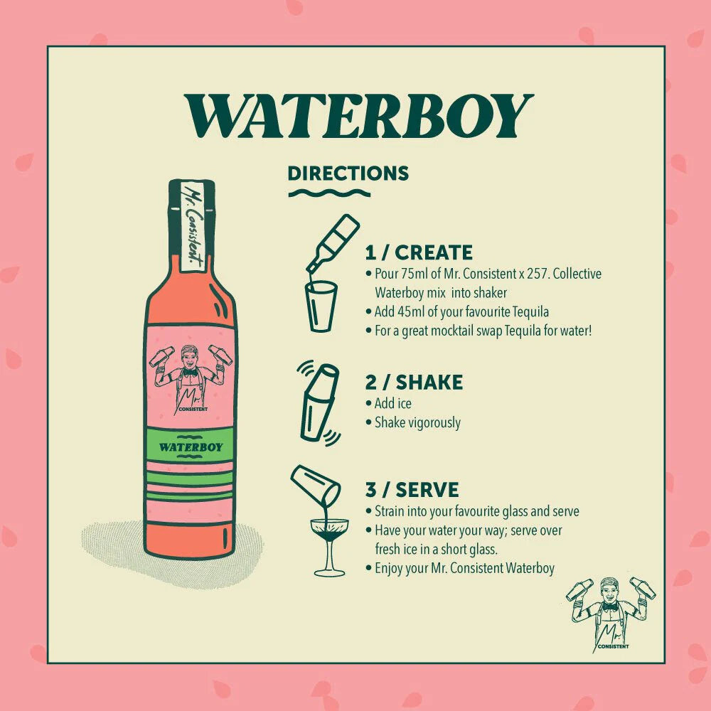 Mr Consistent WATERBOY (Watermelon Margi) COCKTAIL MIXER - 10 SERVES