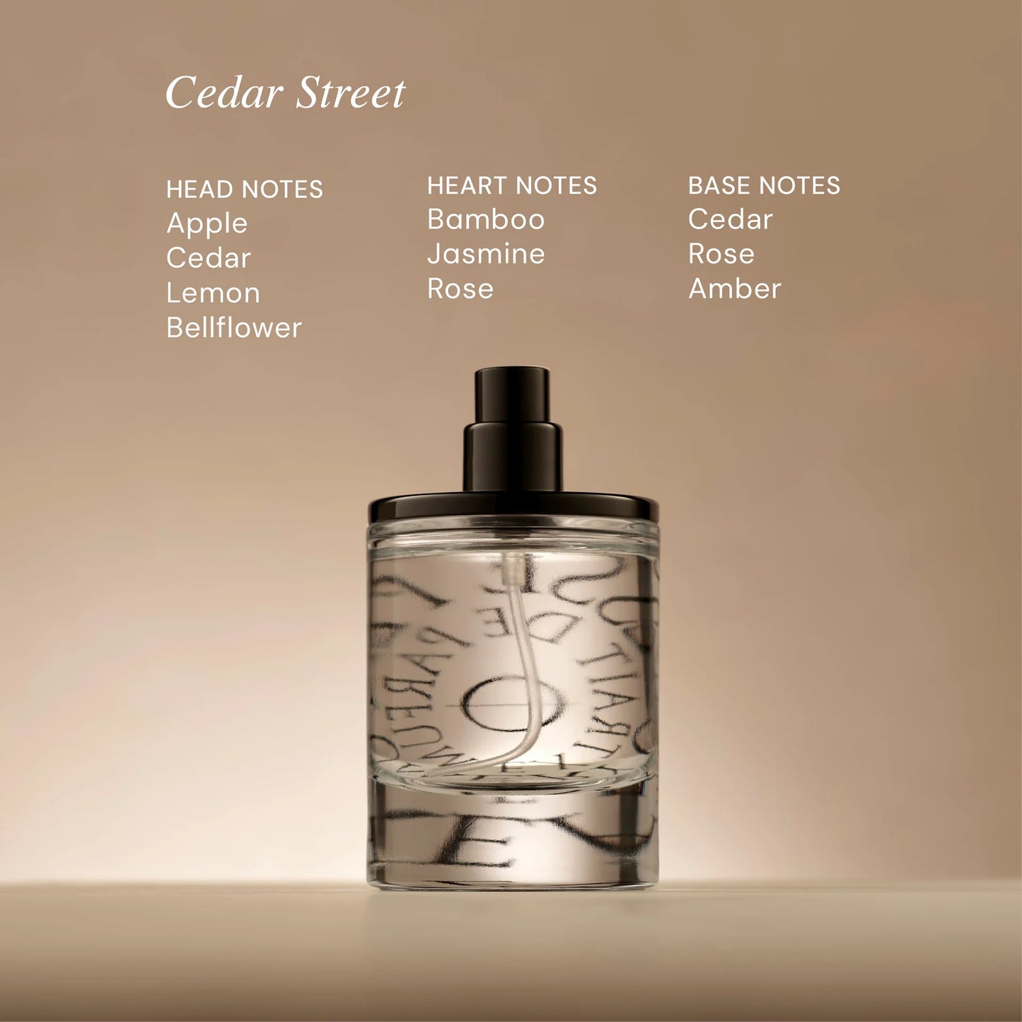 Odesse Cedar Street Eau De Perfume 50ml