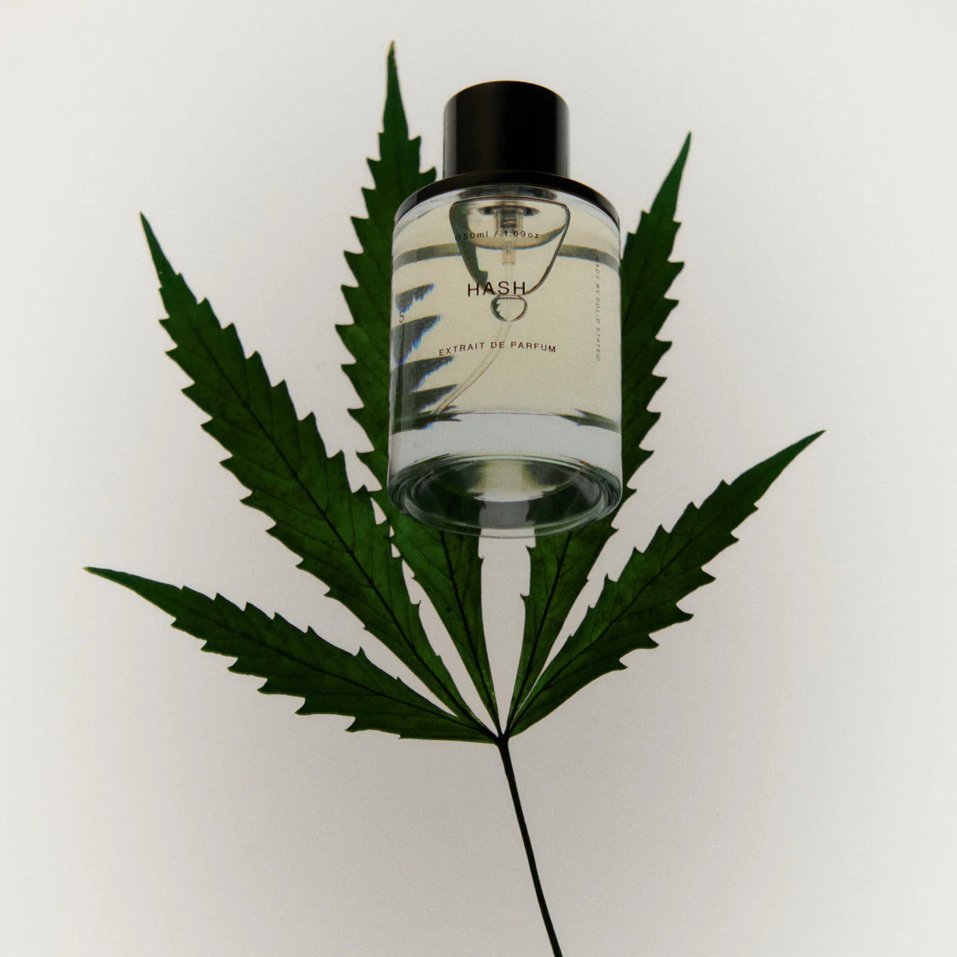 Solid State Hash Extrait de Parfum 50ml