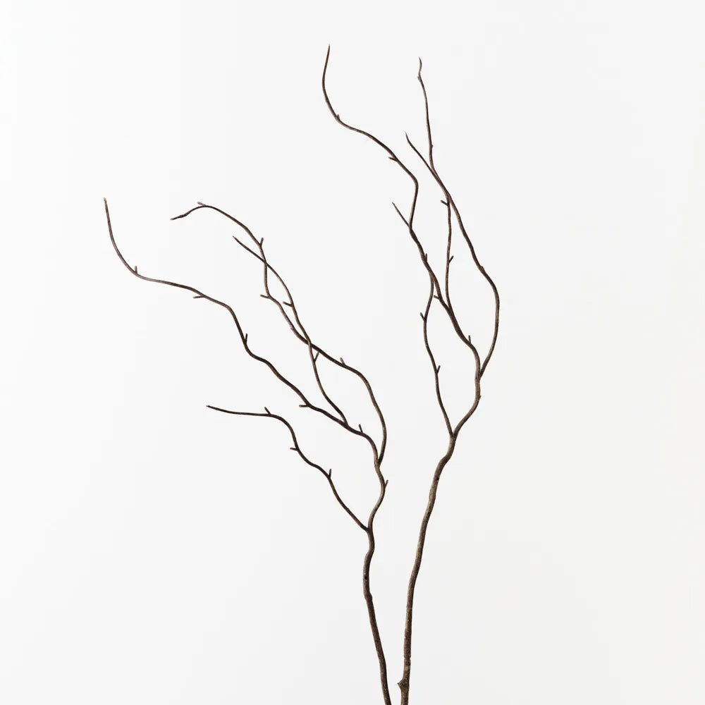 Floral Interiors Twig Curly Spray