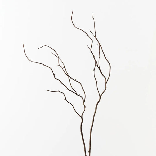 Floral Interiors Twig Curly Spray