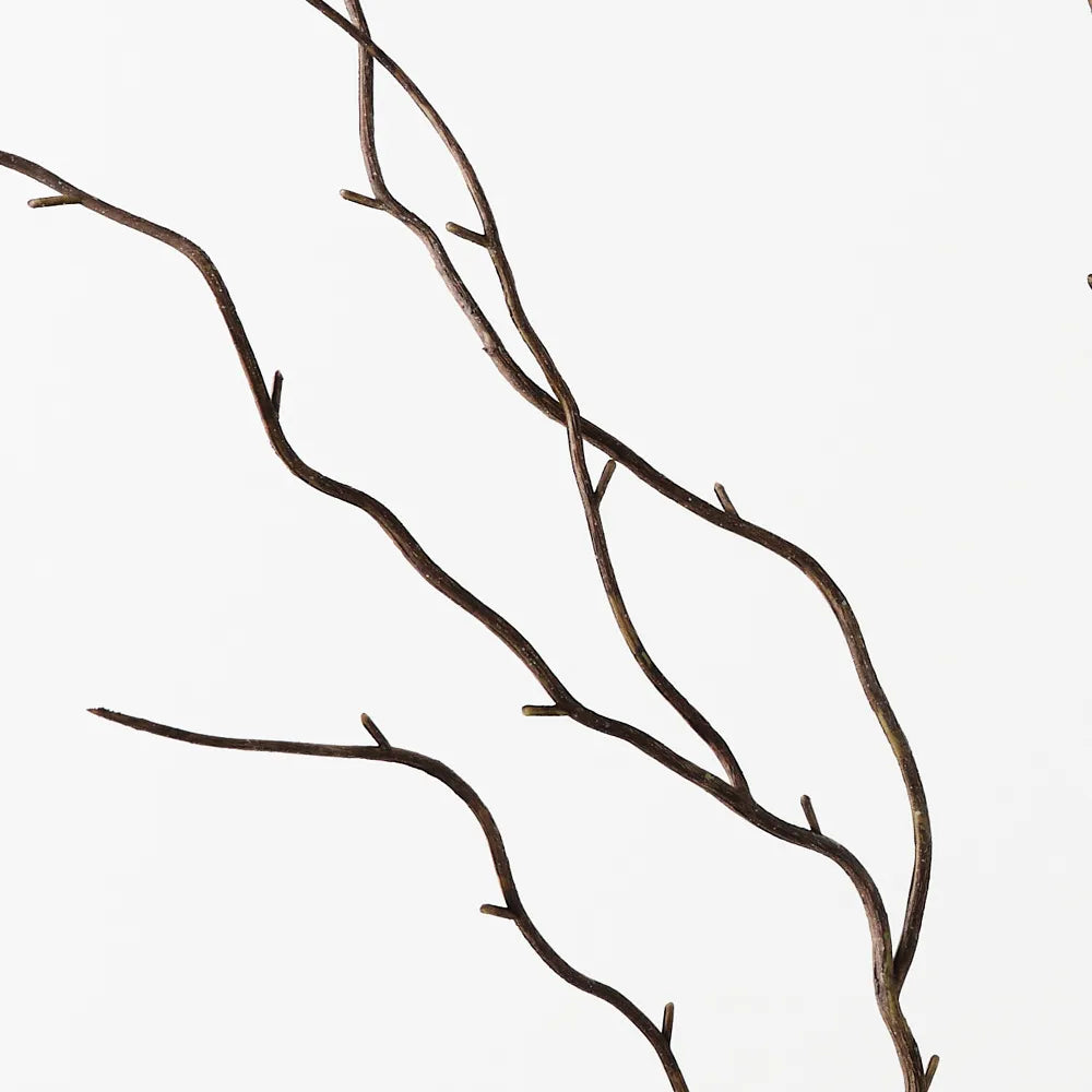 Floral Interiors Twig Curly Spray