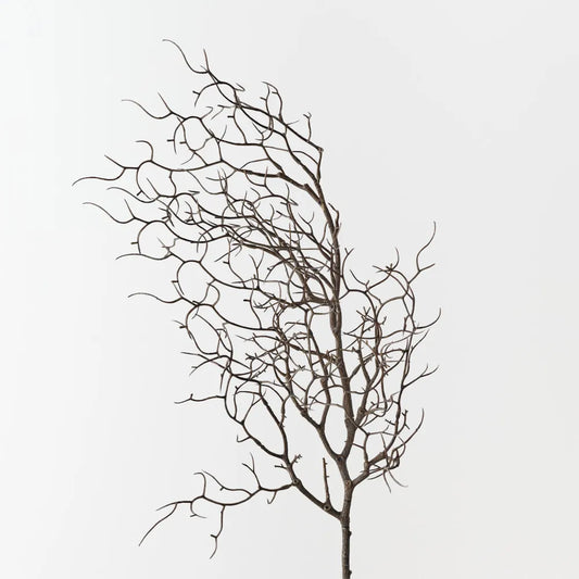 Floral Interiors Twig Curly spray