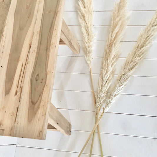 PAMPAS